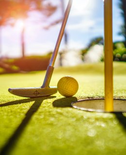 Mini golf