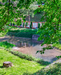 Canopies by the stream