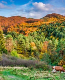 Beautiful walking trails