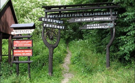 Rezerwat Las Lipowy Obrożyska - Muszyna