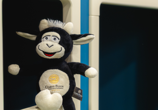 Maskotka Czarek Potocki