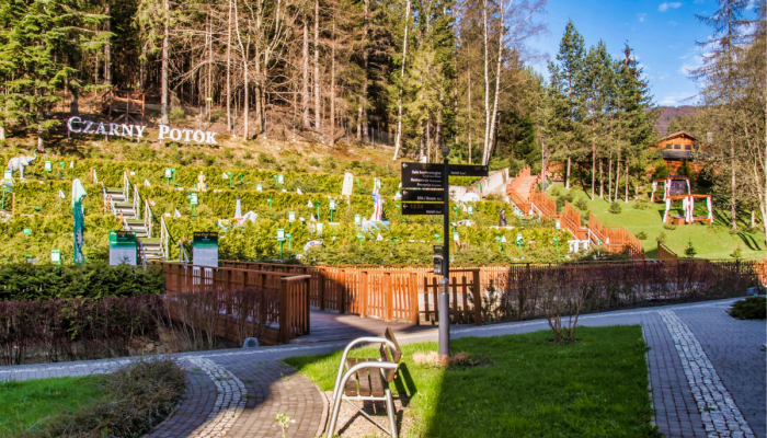 Gdzie w góry z dzieckiem - jak zaplanować ciekawy wyjazd