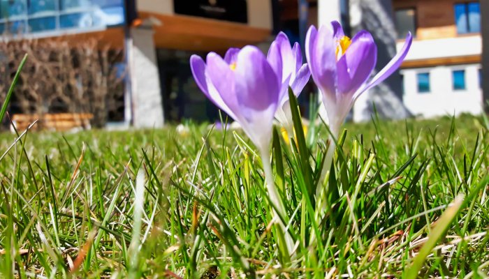 Wielkanoc i Majówka w górach | Hotel Czarny Potok Krynica Zdrój