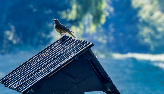 Gdzie w góry z dzieckiem - jak zaplanować ciekawy wyjazd