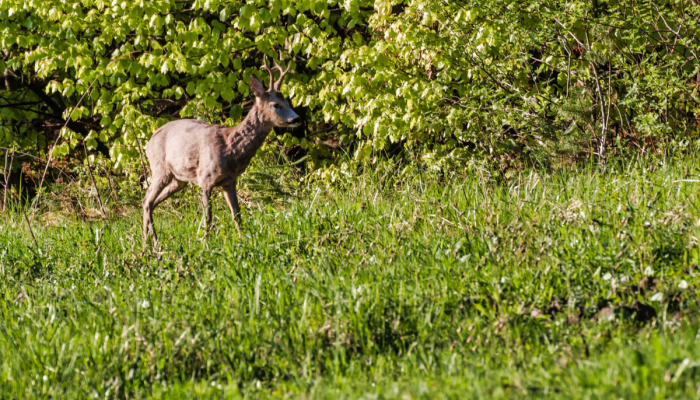 Gdzie w góry z dzieckiem - jak zaplanować ciekawy wyjazd