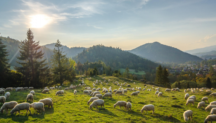 Przywitaj wiosnę w Czarnym Potoku w Beskidach