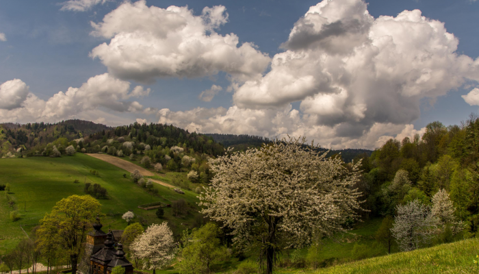 Przywitaj wiosnę w Czarnym Potoku w Beskidach