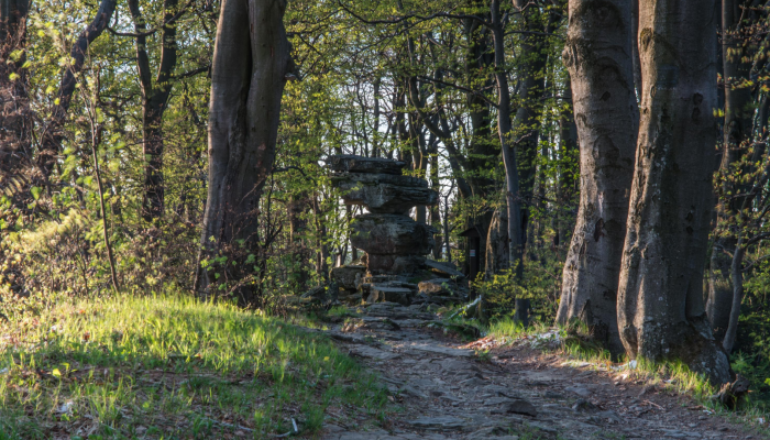 Co warto zobaczyć w Krynicy Zdroju - atrakcje turystyczne i nie tylko