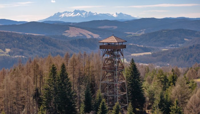 Szczeg&oacute;ły atrakcji