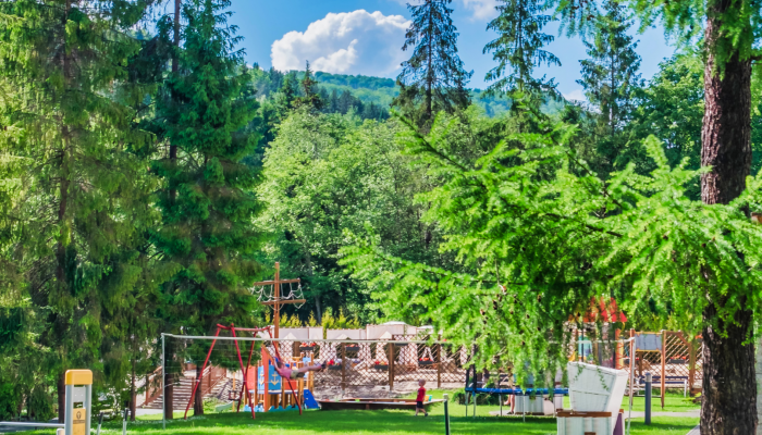 KONSUMENCKI LIDER JAKOŚCI 2021 dla Czarnego Potoku