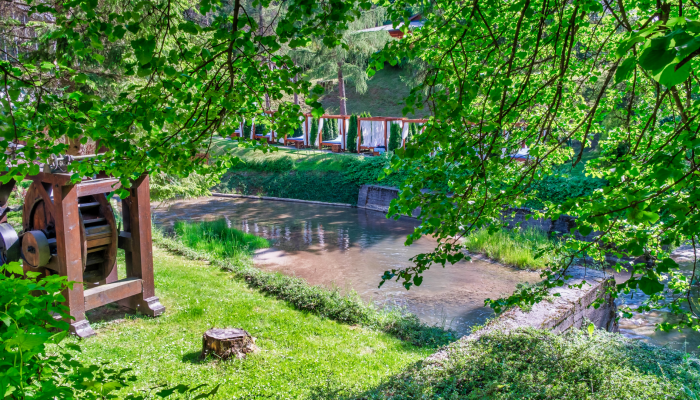 KONSUMENCKI LIDER JAKOŚCI 2021 dla Czarnego Potoku