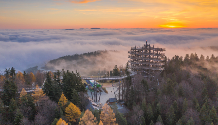 Dni wolne od pracy 2023. Sprawdź, jak je wykorzystać i wydłużyć sobie urlop