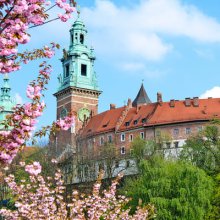 Kraków w wiosennej odsłonie – 7 miejsc, które musisz odwiedzić!