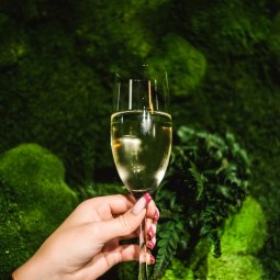 Restauracja Esterante Kraków Kazimierz