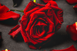 ROMANTIC VALENTINE’S DAY IN KRAKÓW