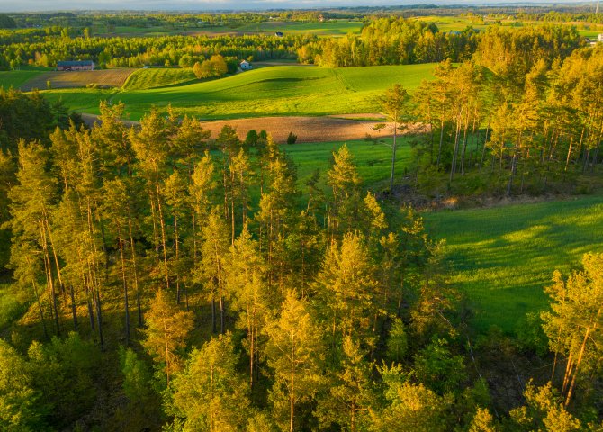 Las otaczający hotel