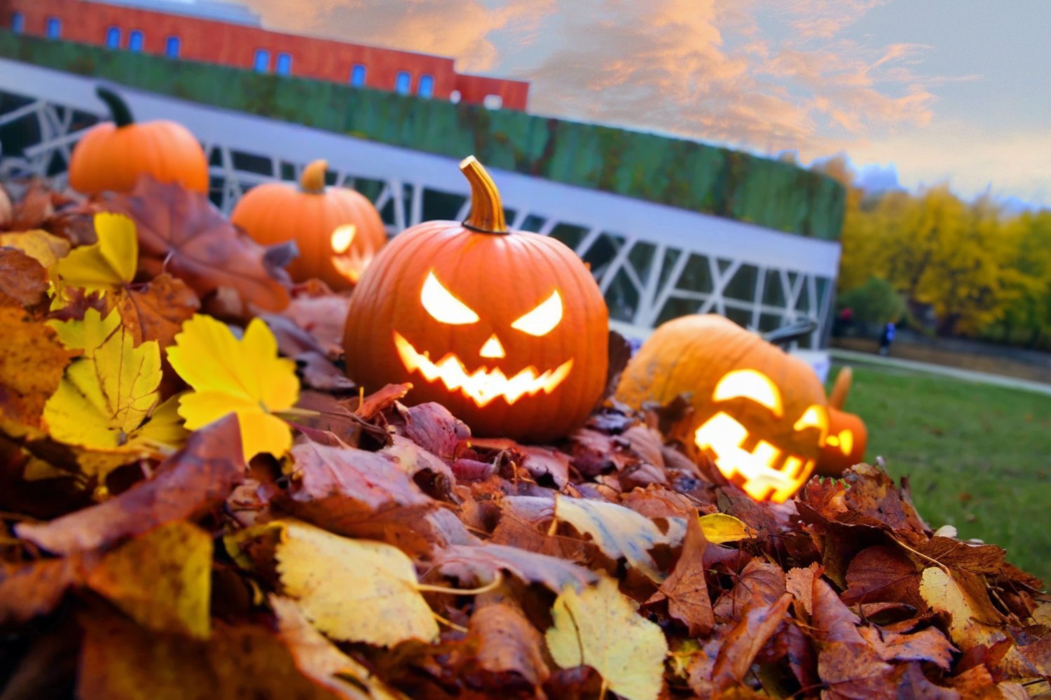 / 25-27 X, 31 X-3 XI / Halloweenowe weekendy nad Narwią