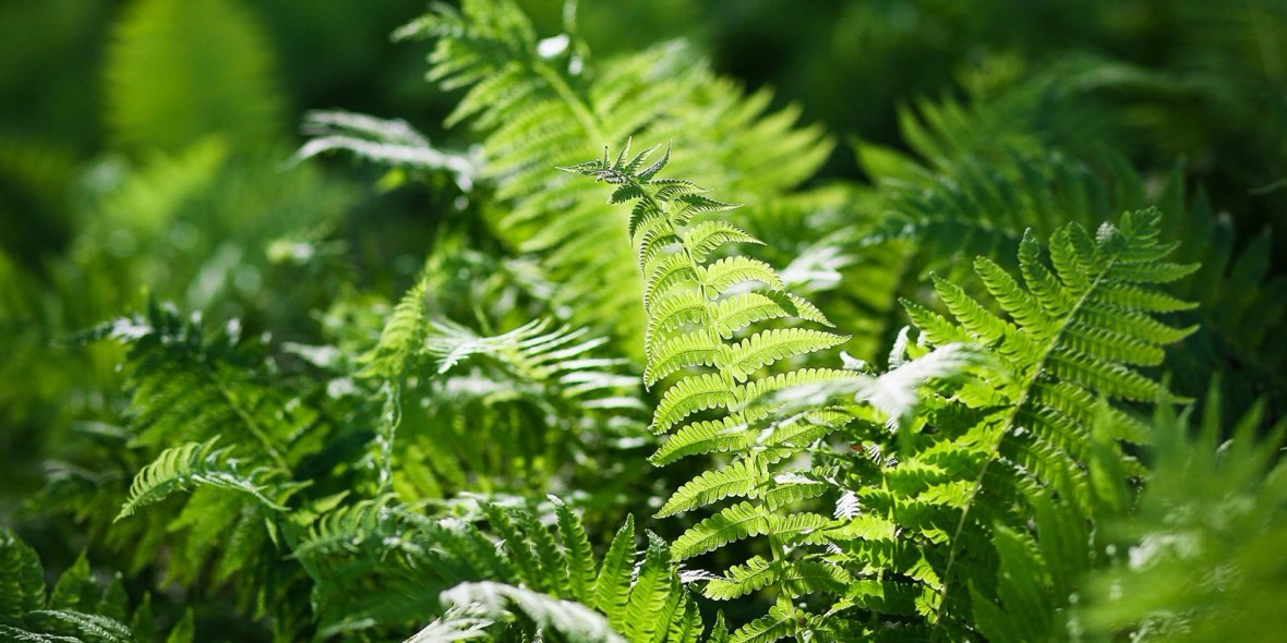 La historia de la creación del hotel