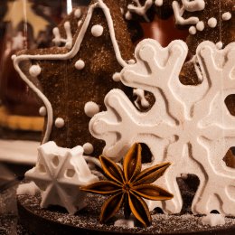 / 23 - 26 GRUDNIA / Święta nad Narwią