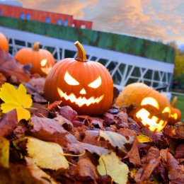 / 25-27 X, 31 X-3 XI / Halloweenowe weekendy nad Narwią