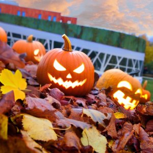 Halloween by the Narew river