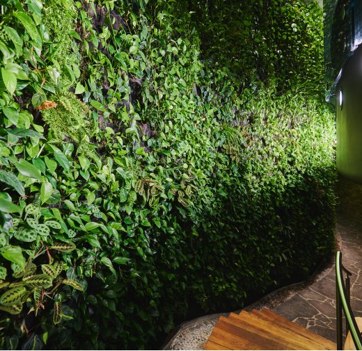  La naturaleza del descanso.