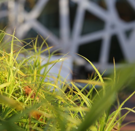 La naturaleza del descanso.