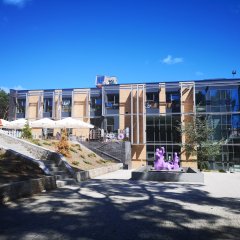 Tereny zielone przy Aquaparku