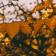 Jesienny wypoczynek nad morzem