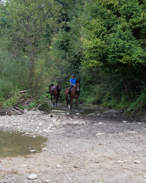 Wyprawy w teren i rajdy
