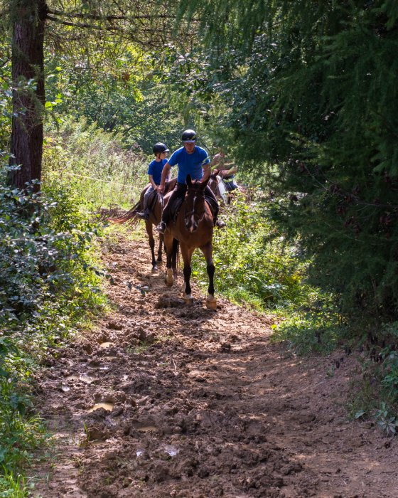 Wyprawy w teren i rajdy
