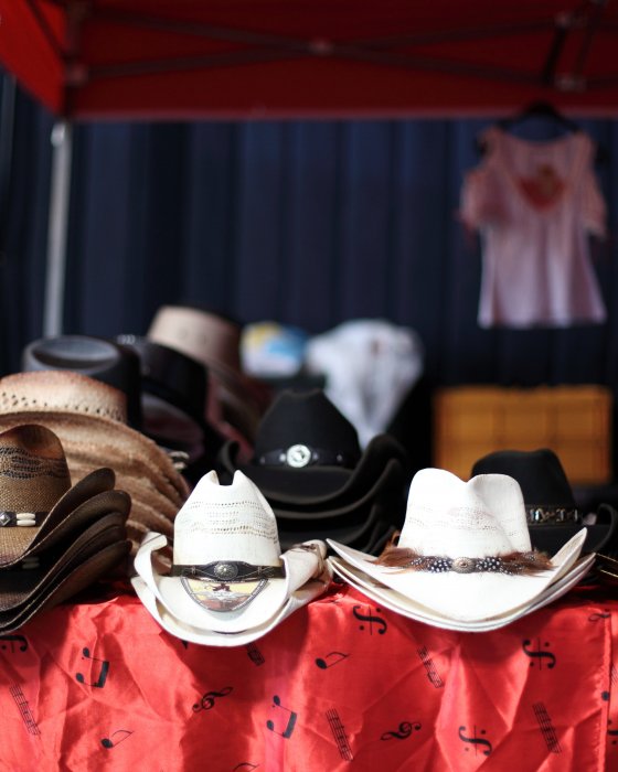 Wieczorki tematyczne