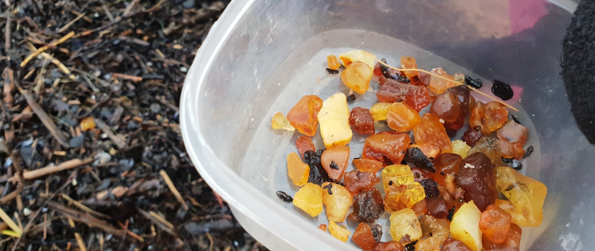 Spotkania z bursztynem