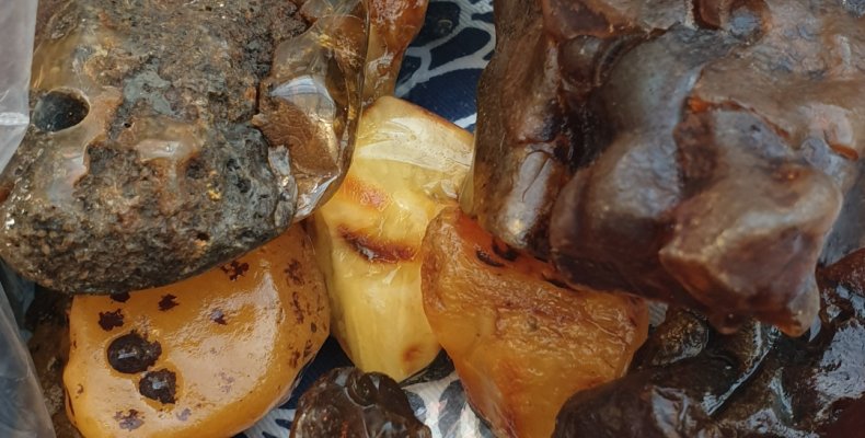 Spotkania z bursztyniarzem