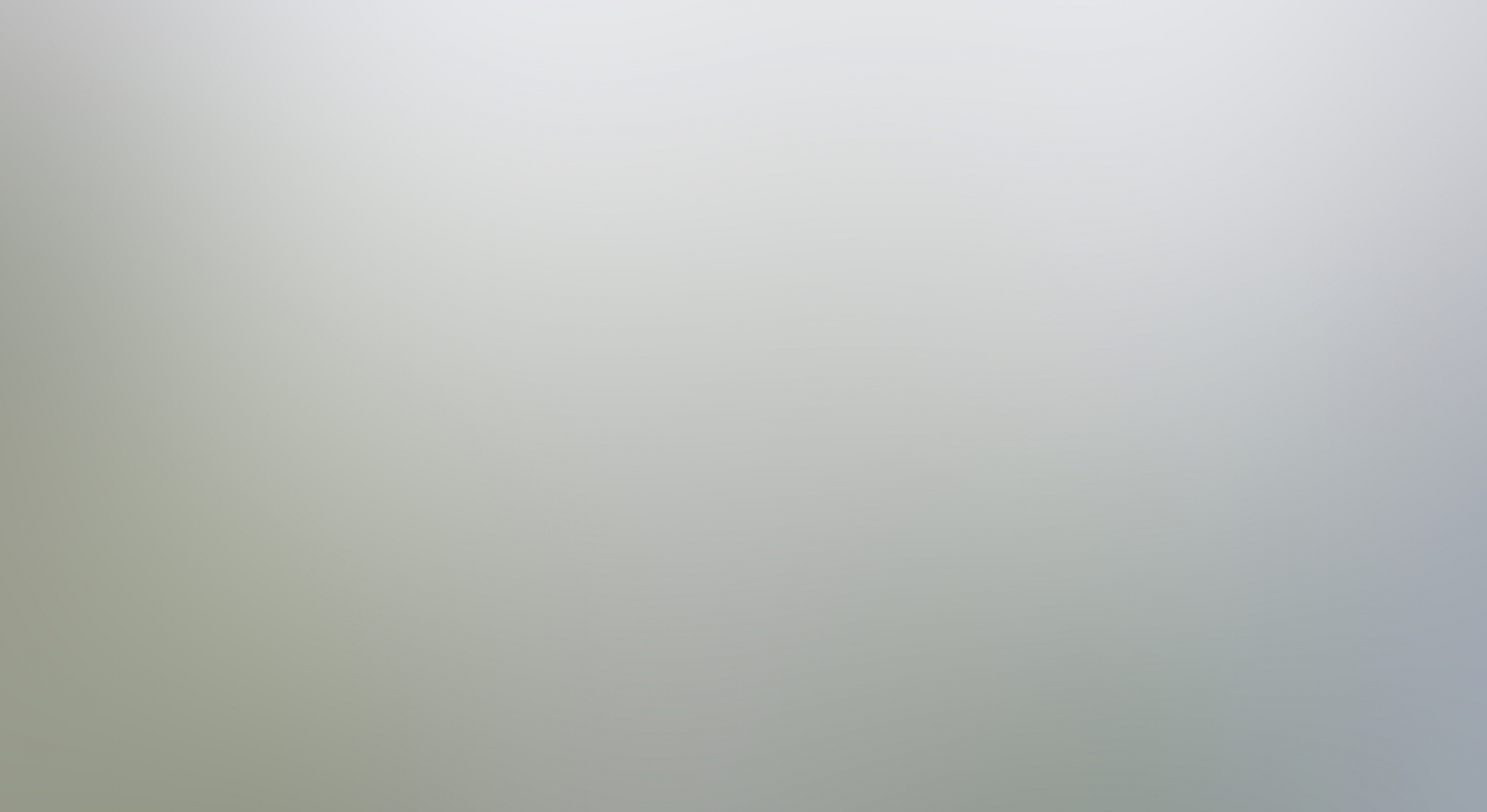 Jak listopad to czas na Gęsinę na Świętego Marcina!