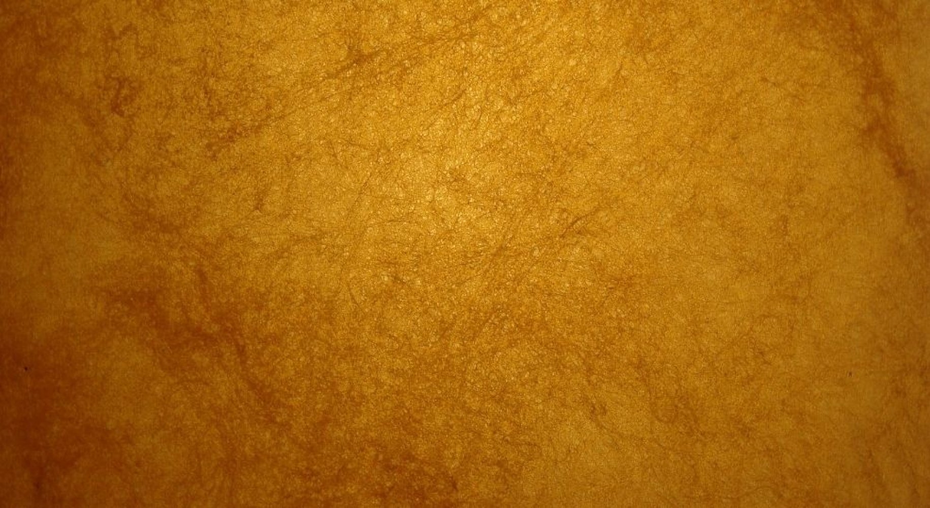 Zostaliśmy wyróżnieni w plebiscycie "Orły Branży Ślubnej"