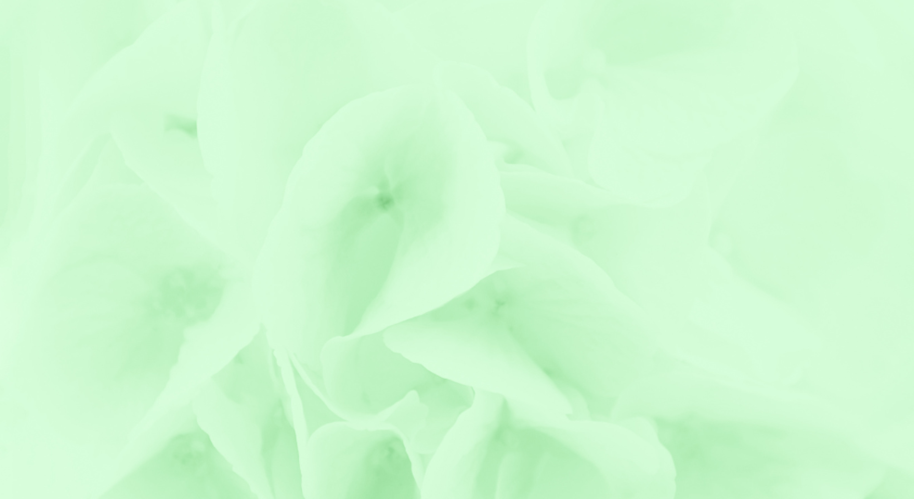 Nowy rok, nowe wyróżnienie!