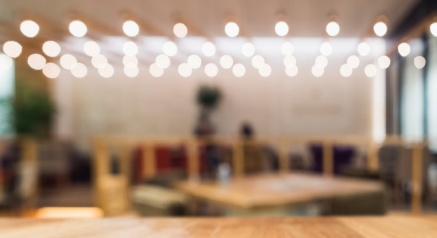 "Czas na gęsinę" - specjalne menu w Restauracji Miodowej.