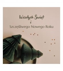 Życzymy Wszystkim Wesołych i Rodzinnych Świąt Bożego Narodzenia!