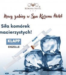 Eiszelle Klapp - Siła komórek macierzystych