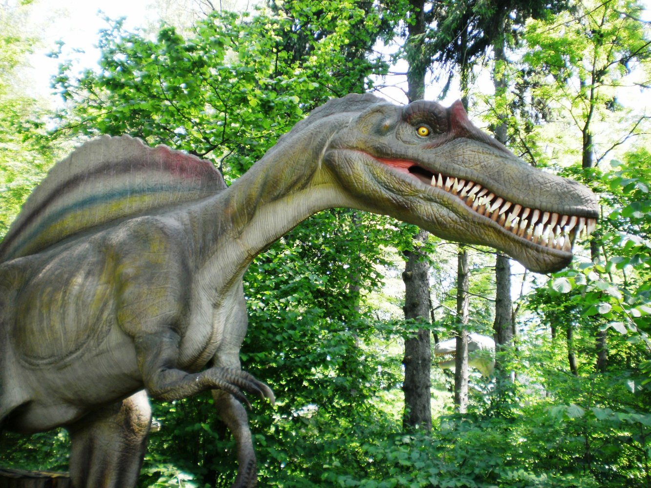 Dla dzieci Park Dinolandia Zator