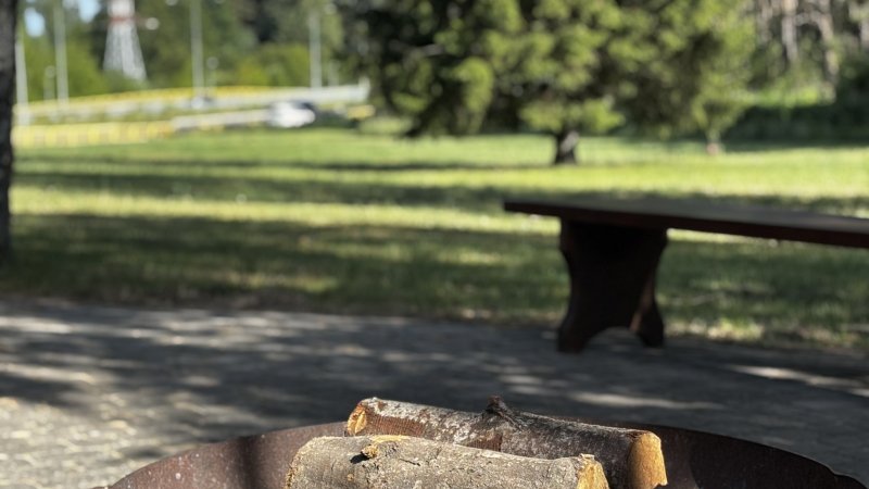 Grill - impreza w plenerze