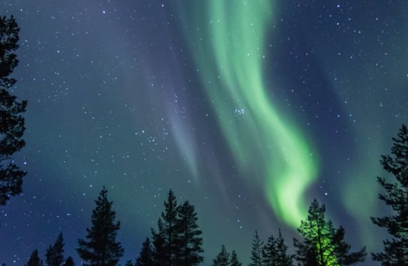 Cosmic Det er billigt berolige Aurora Hunting | Northern Lights Village Levi
