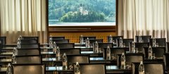 Meetings & Conferences