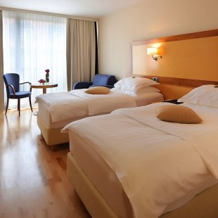 Picture of Hotel Lovec Twin room