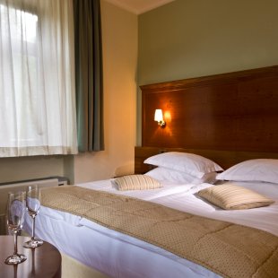 Picture of Hotel Lovec Double room