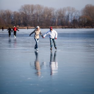 Picture of frozen Lake Bled with ice skaters