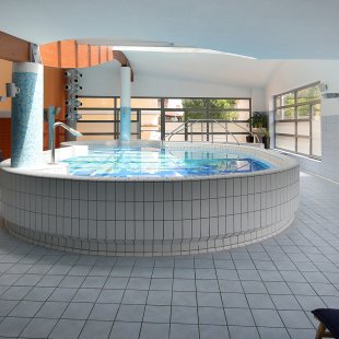 Hotel Lovec Pool area