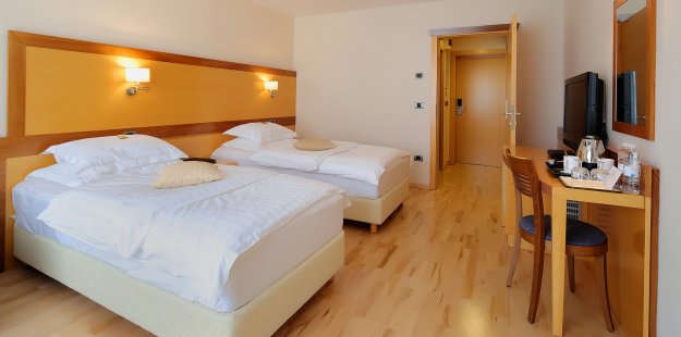 Picture of Hotel Lovec Twin room