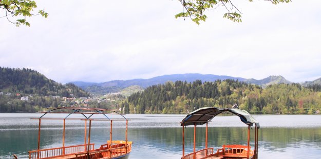 Pictore of Lake Bred with pletna boats
